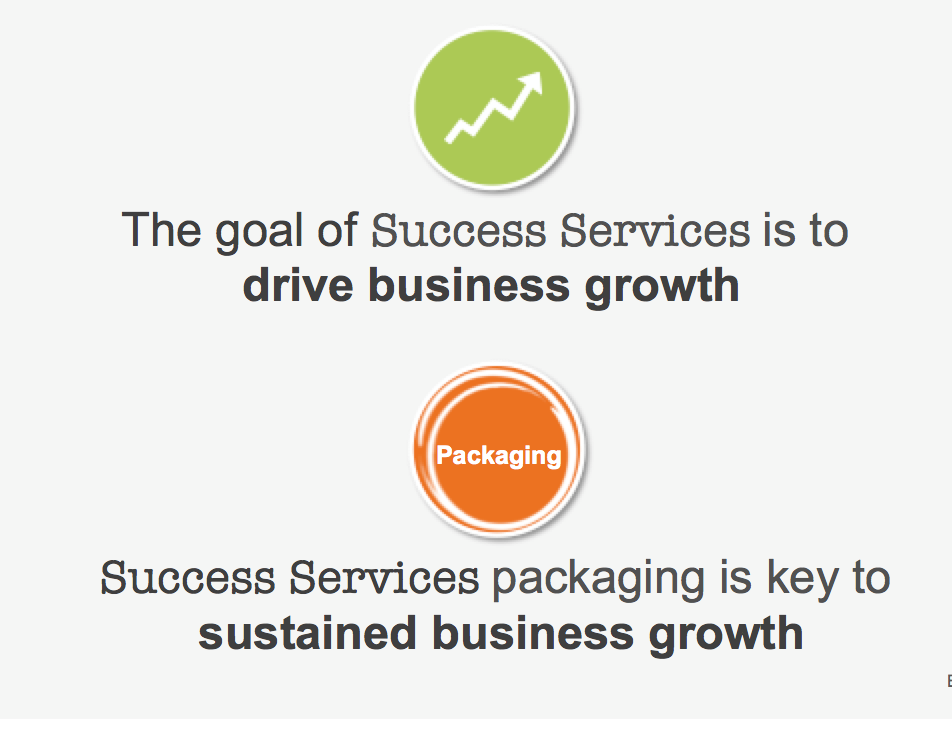 Success services graphic 1