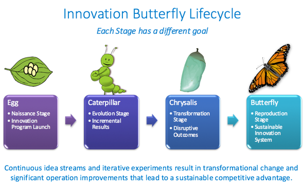 Innovation butterfly life cycle